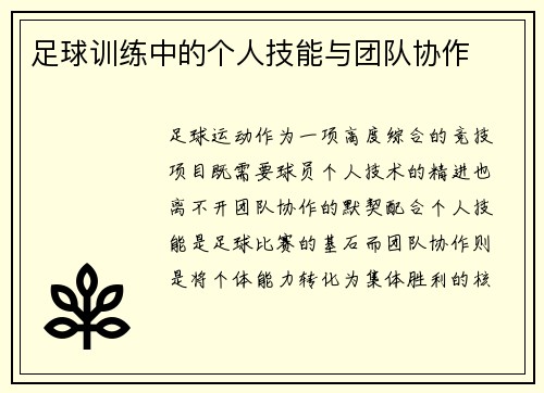 足球训练中的个人技能与团队协作