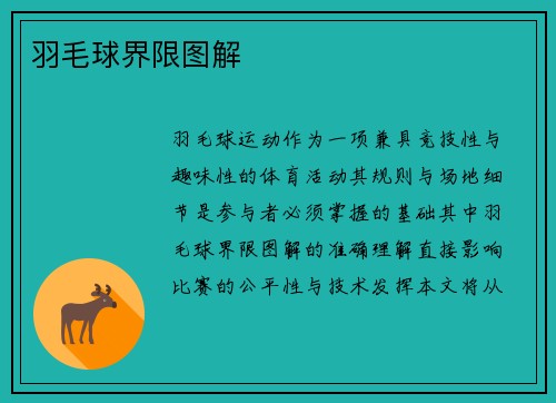 羽毛球界限图解